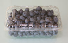 Load image into Gallery viewer, 1 lb Box - Certified Organic Blueberries