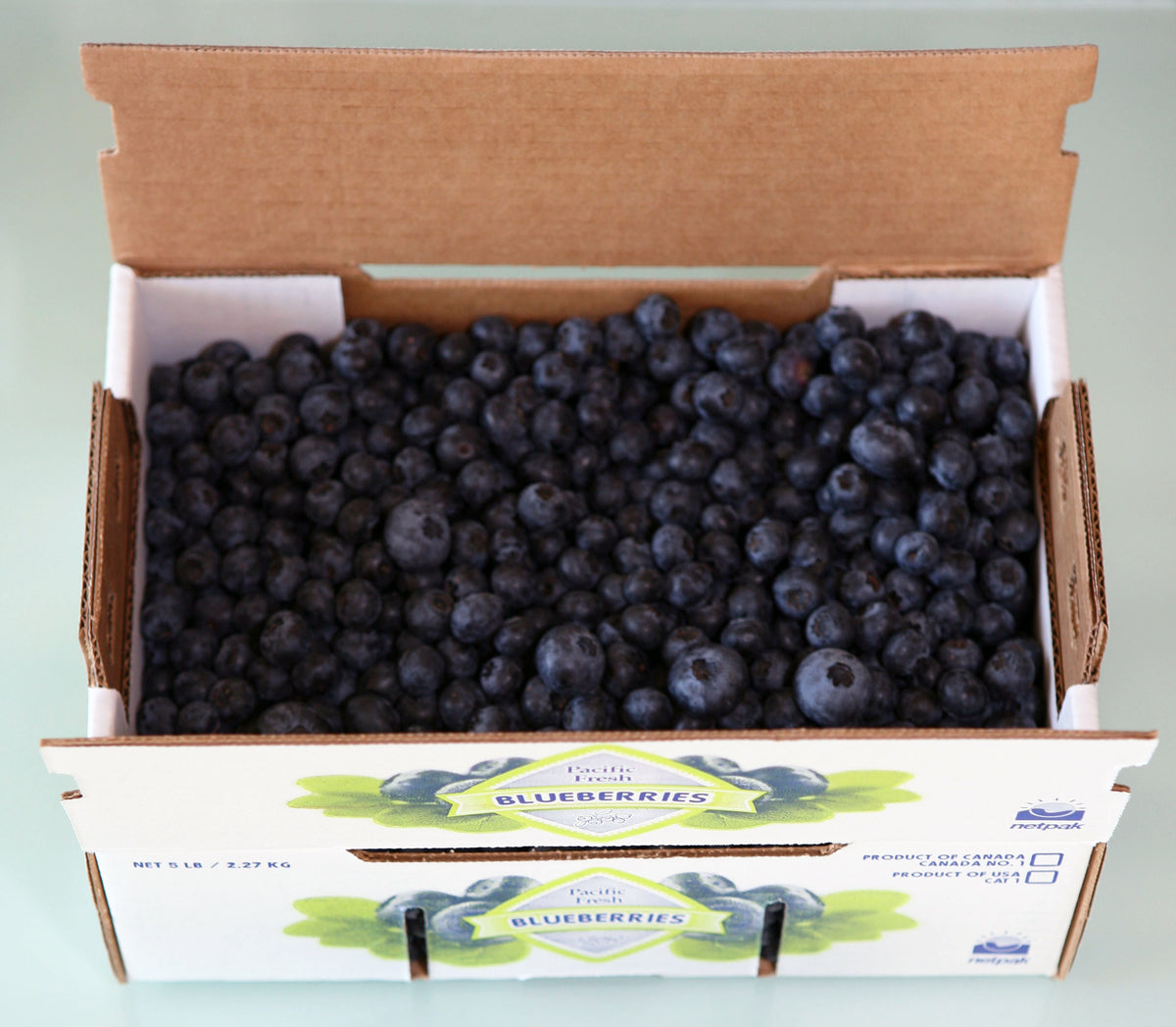 U-Pick 5 lb Container – Organic Blueberries Athwal Farms