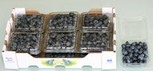 Load image into Gallery viewer, 12 Clamshells - Certified Organic Blueberries